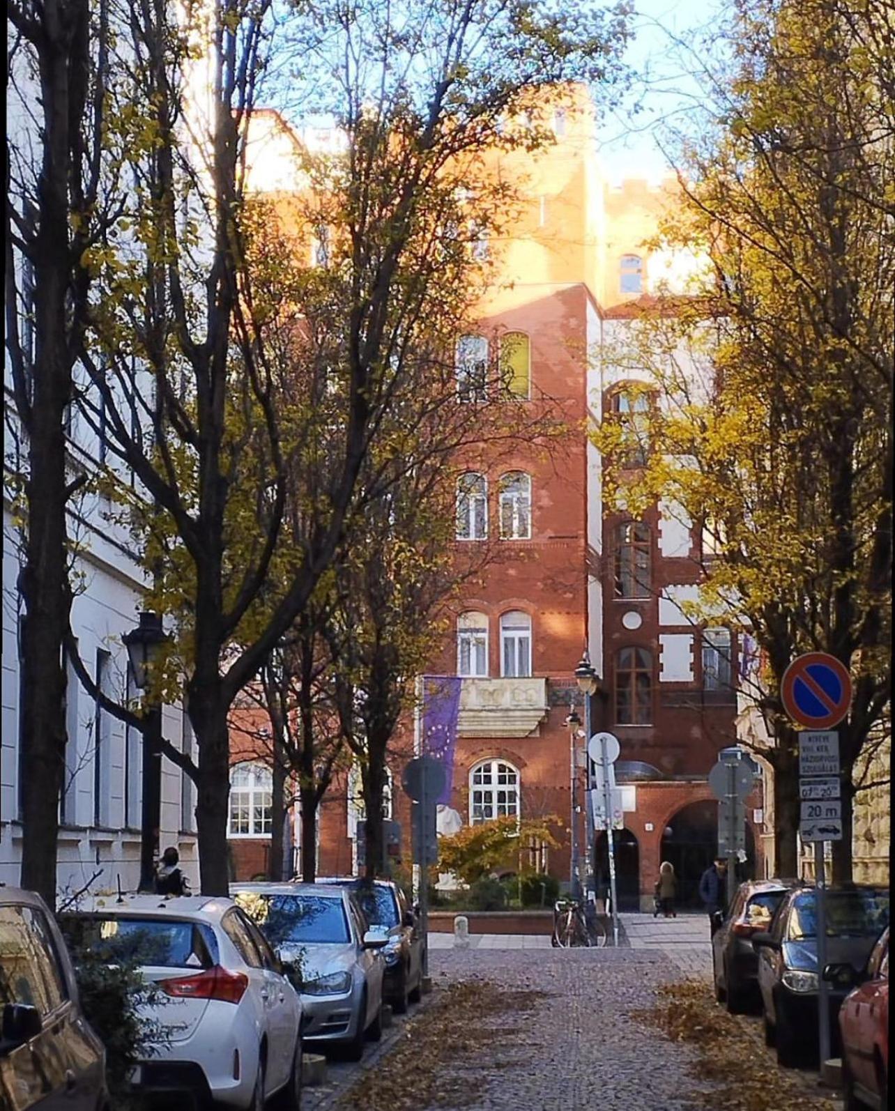 Cedar - Palace District * Budapešť
